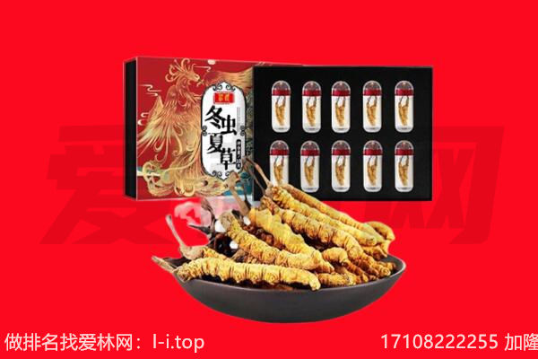川汇区回收虫草.jpg